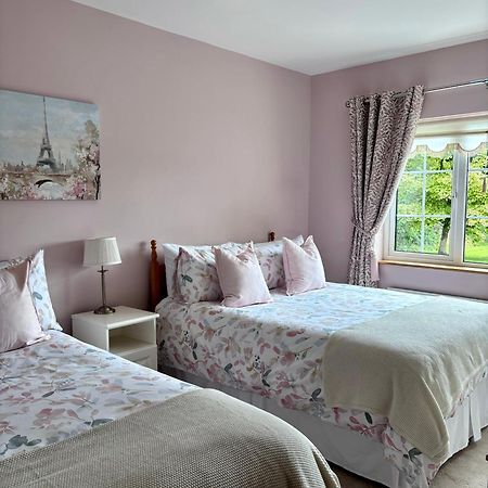 The Lodge Self Catering Castlerea المظهر الخارجي الصورة