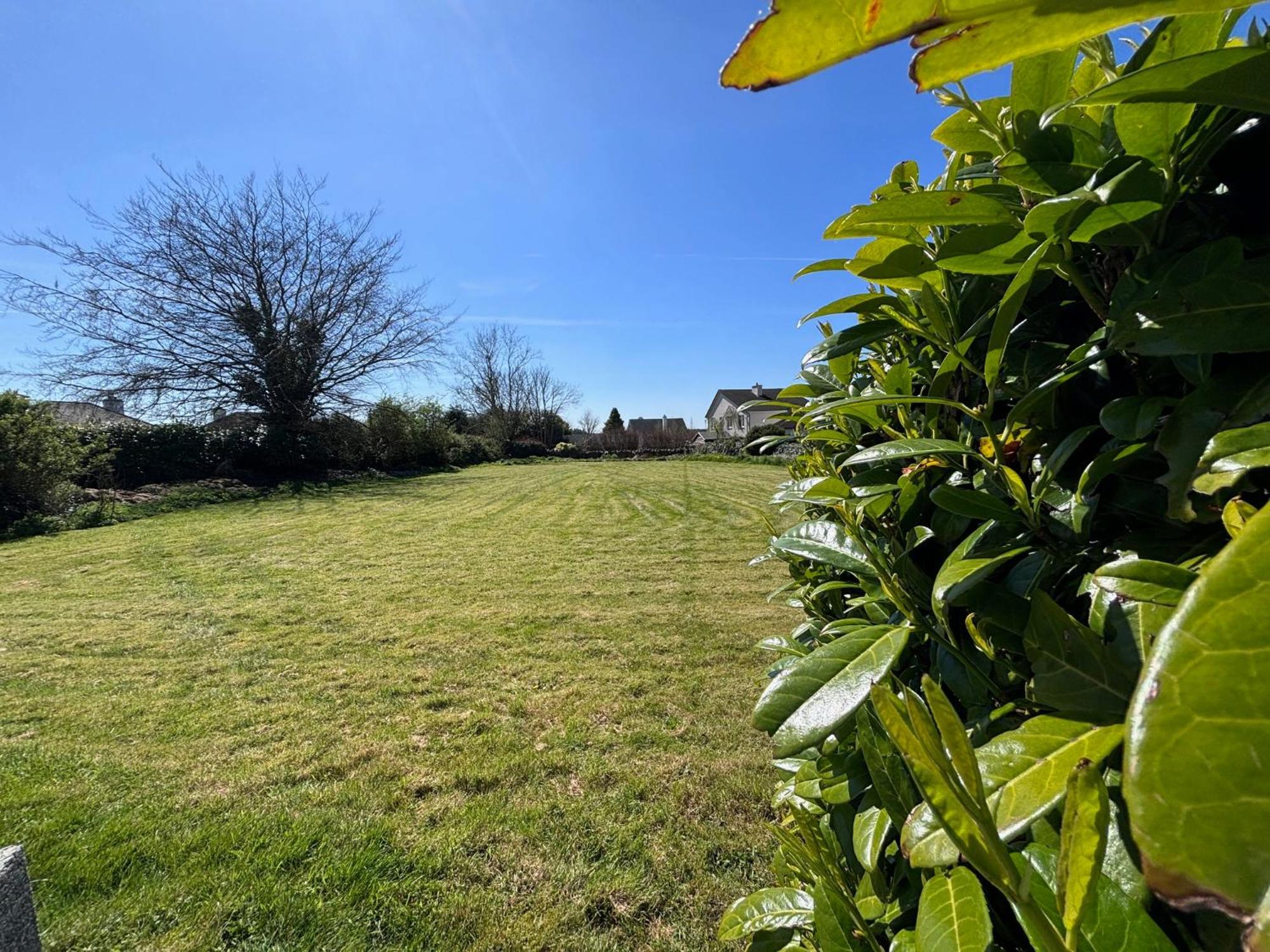 The Lodge Self Catering Castlerea المظهر الخارجي الصورة